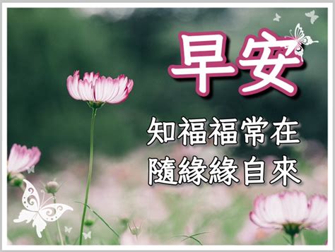 午安圖2023免費|長輩圖！LINE長輩圖免費下載